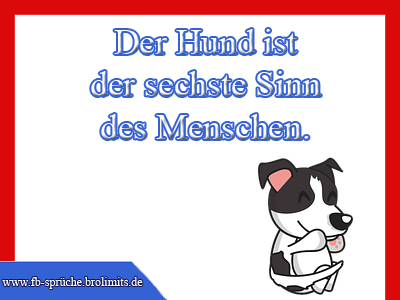 Der Hund ist der sechste Sinn des Menschen