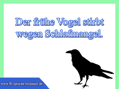 Der frühe Vogel stirbt wegen Schlafmangel
