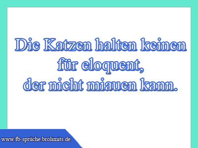 Die Katzen halten keinen für eloquent