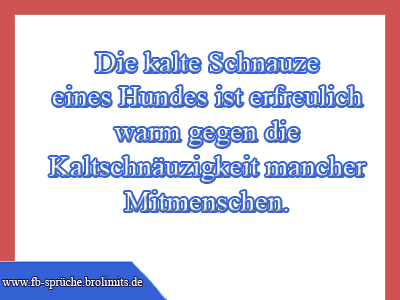 Die kalte Schnauze eines Hundes