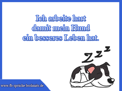 Ich arbeite hart damit mein Hund ein besseres Leben hat