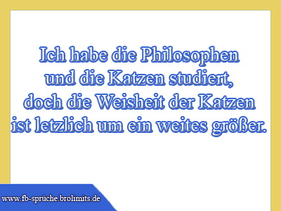 Ich habe die Philosophen und die Katzen studiert