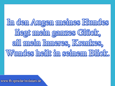 In den Augen meines Hundes