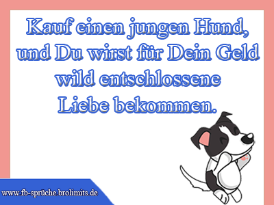 Kauf einen jungen Hund, und Du wirst für Dein Geld wild entschlossene Liebe bekommen.