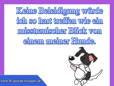 Keine Beleidigung würde mich so hart treffen wie ein misstrauischer Blick von einem meiner Hunde.