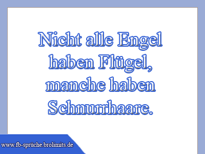 Nicht alle Engel haben Flügel, manche haben Schnurrhaare.