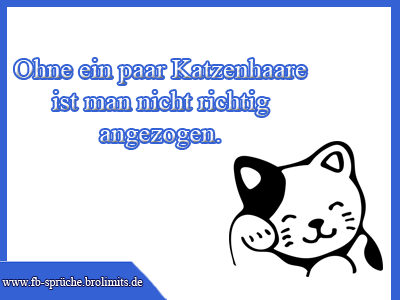 Ohne ein paar Katzenhaare ist man nicht richtig angezogen