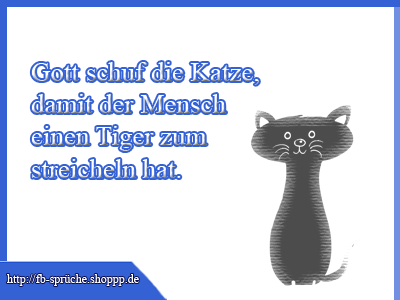 Ein Tiger zum streicheln