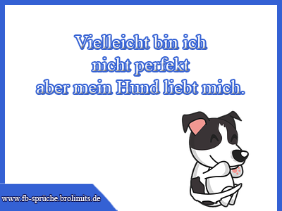Vielleicht bin ich nicht perfekt aber mein Hund liebt mich