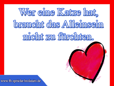 Wer eine Katze hat braucht das Alleinsein nicht zu fürchten