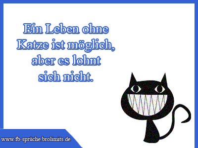 Ein Leben ohne Katze ist möglich, aber es lohnt sich nicht
