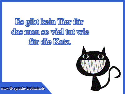 Alles für die Katz